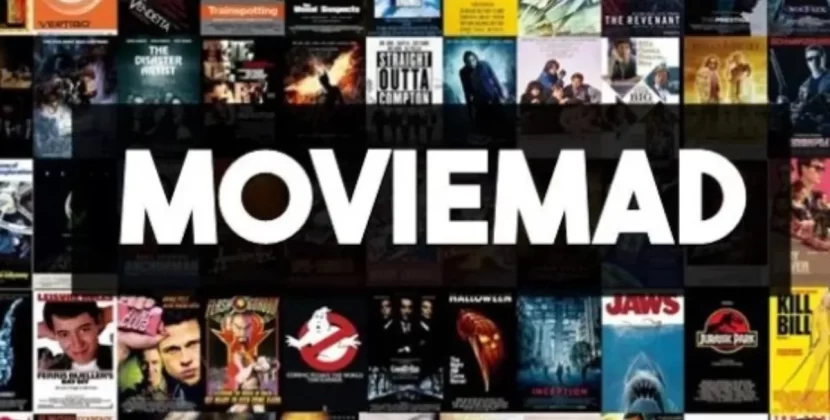 MovieMad – Download Hollywood & bollywood Movies